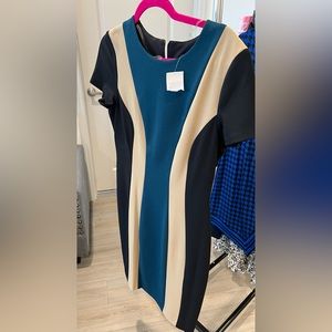 Form fitted dress never worn.